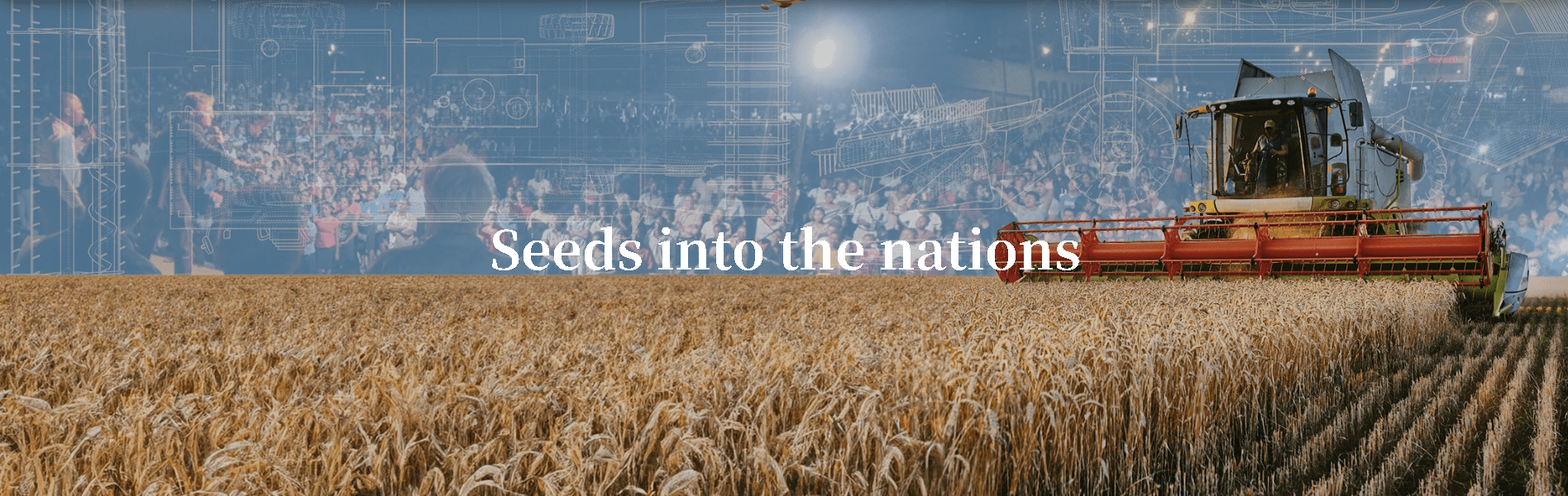 Seed into the nations